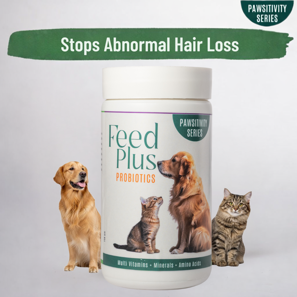 Jumbo Feed Plus Probiotic Multi-Vitamin