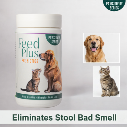 Jumbo Feed Plus Probiotic Multi-Vitamin