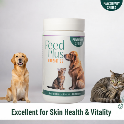 Jumbo Feed Plus Probiotic Multi-Vitamin