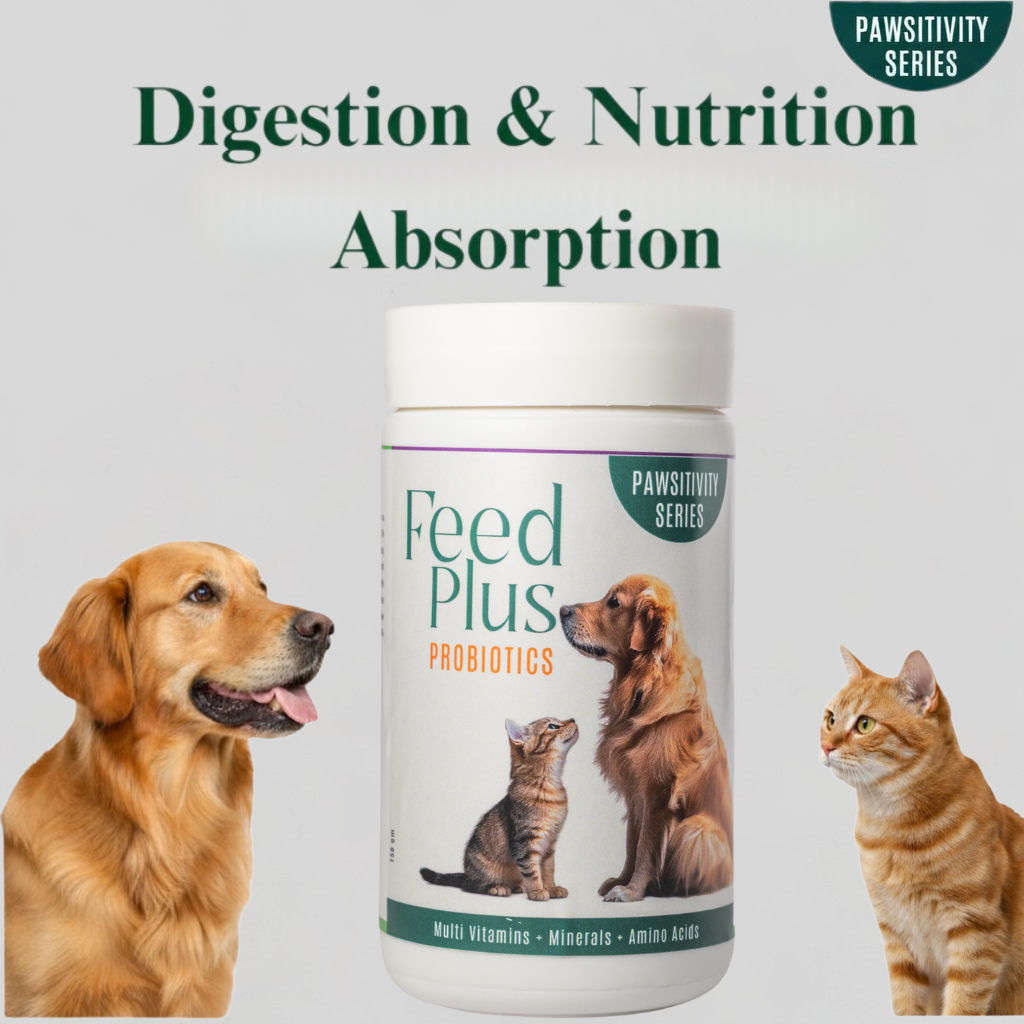 Jumbo Feed Plus Probiotic Multi-Vitamin