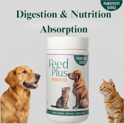 Jumbo Feed Plus Probiotic Multi-Vitamin