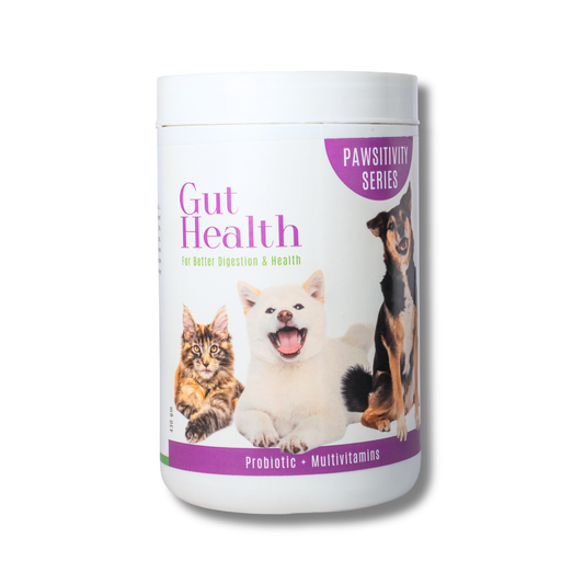 Gut Health (Advanced Probiotic + Multivitamin)