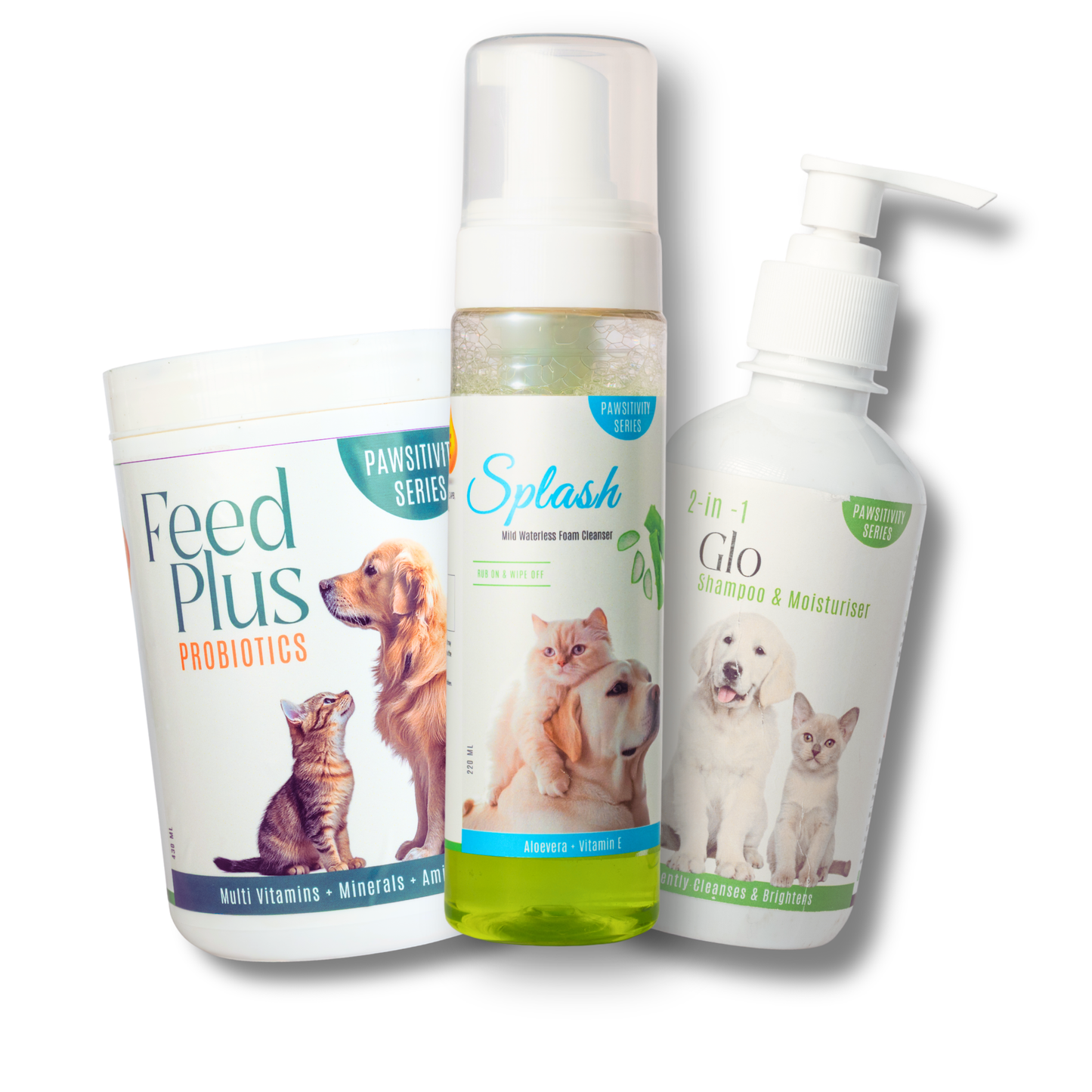 Healthy Skin & Coat - Regular