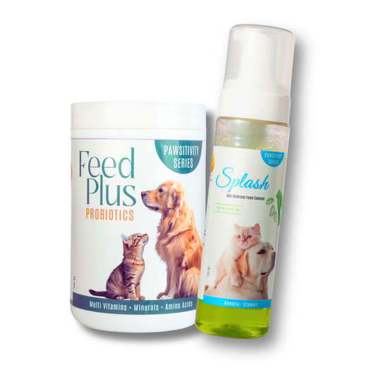 Healthy Skin & Coat - Economy