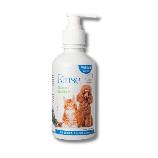 Jumbo Rinse Shampoo : Anti Dandruff + Grooming Shampoo
