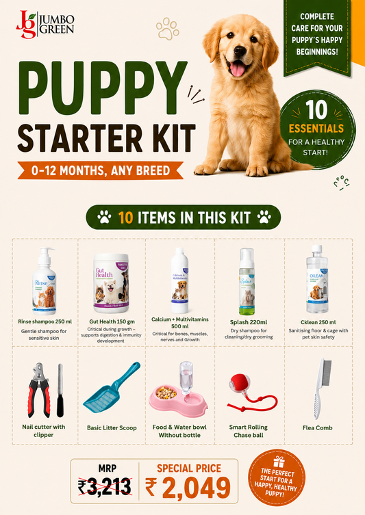 Puppy Starter Kit (0–12 Months)
