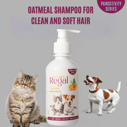 Jumbo Regal Premium Oatmeal Shampoo
