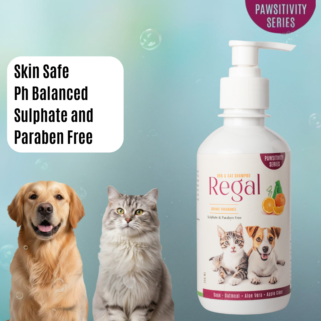 Jumbo Regal Premium Oatmeal Shampoo