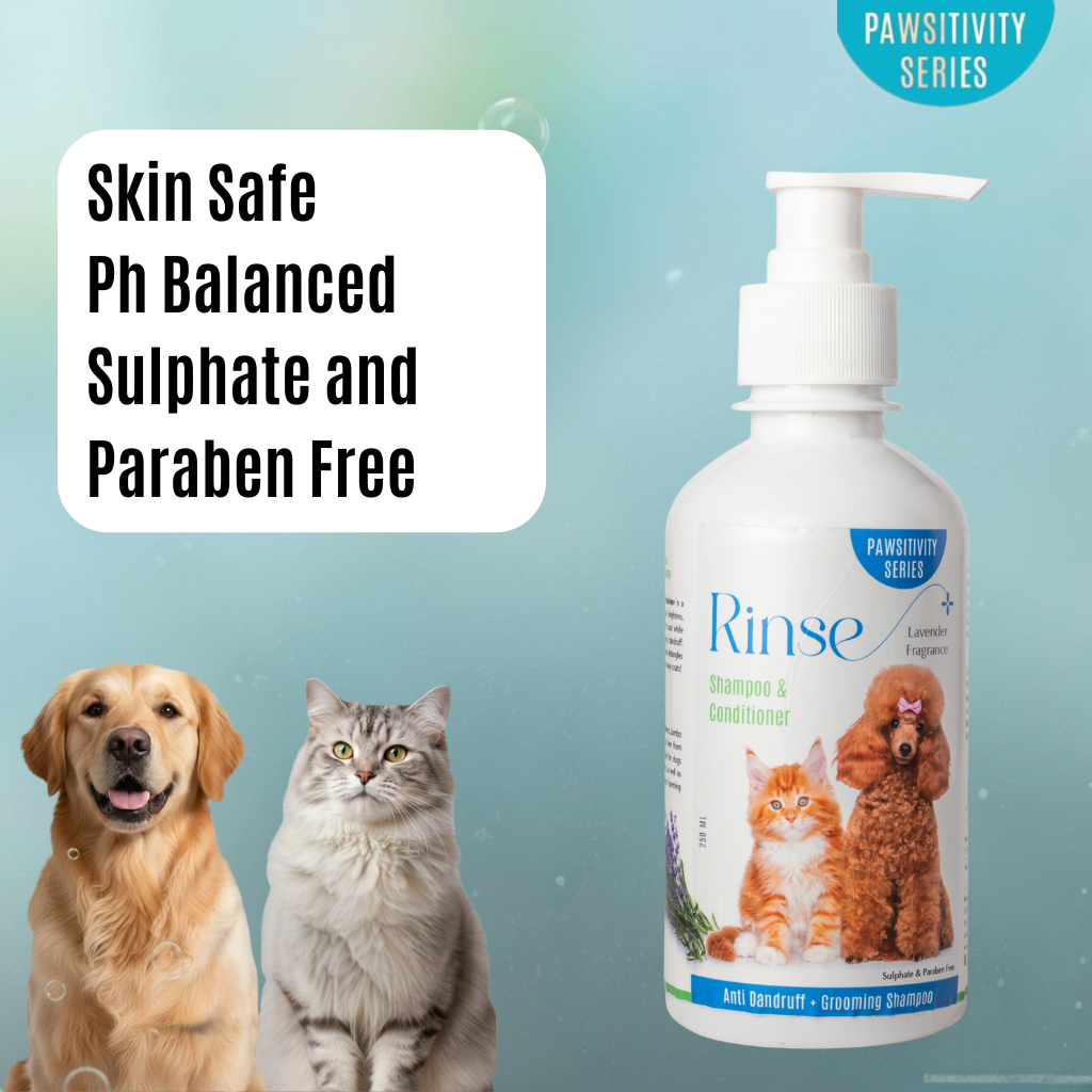 Jumbo Rinse Shampoo : Anti Dandruff + Grooming Shampoo