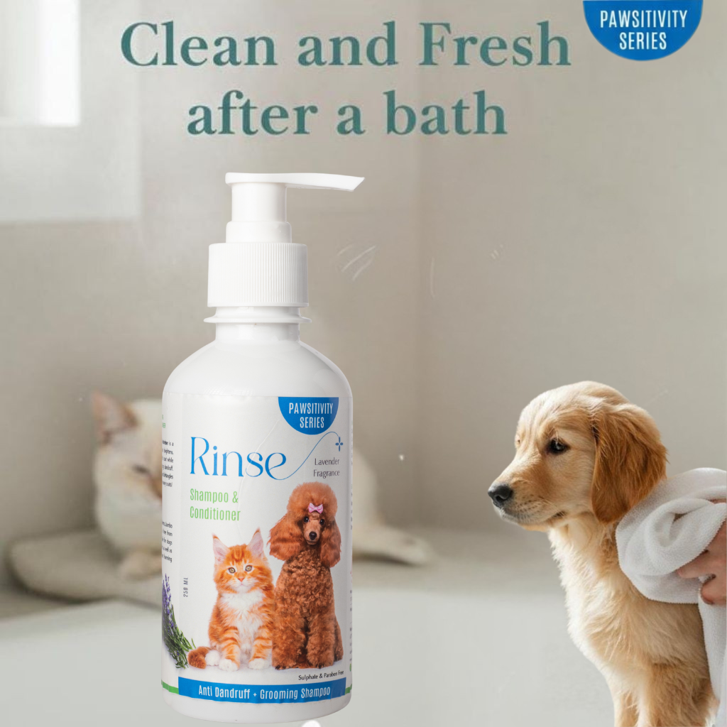 Jumbo Rinse Shampoo : Anti Dandruff + Grooming Shampoo