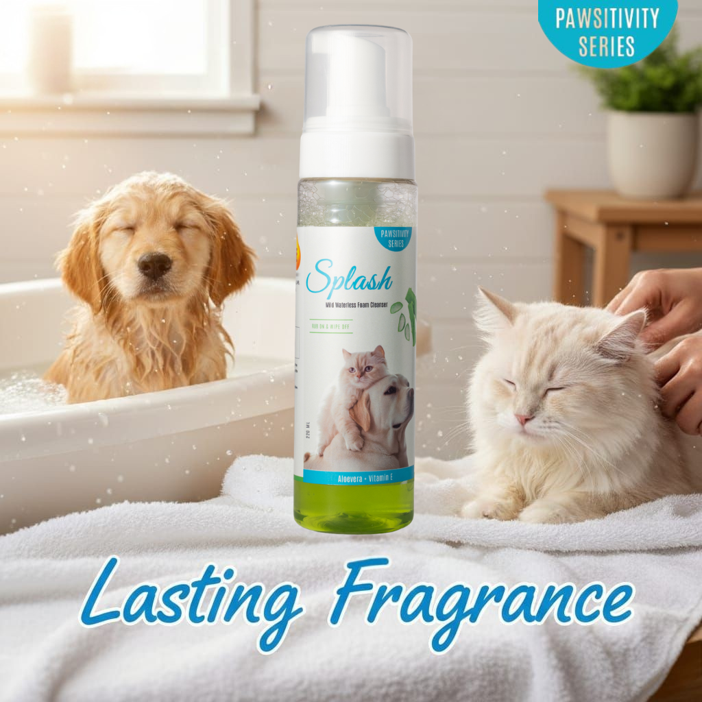 Jumbo Splash Aloevera & Vitamin E