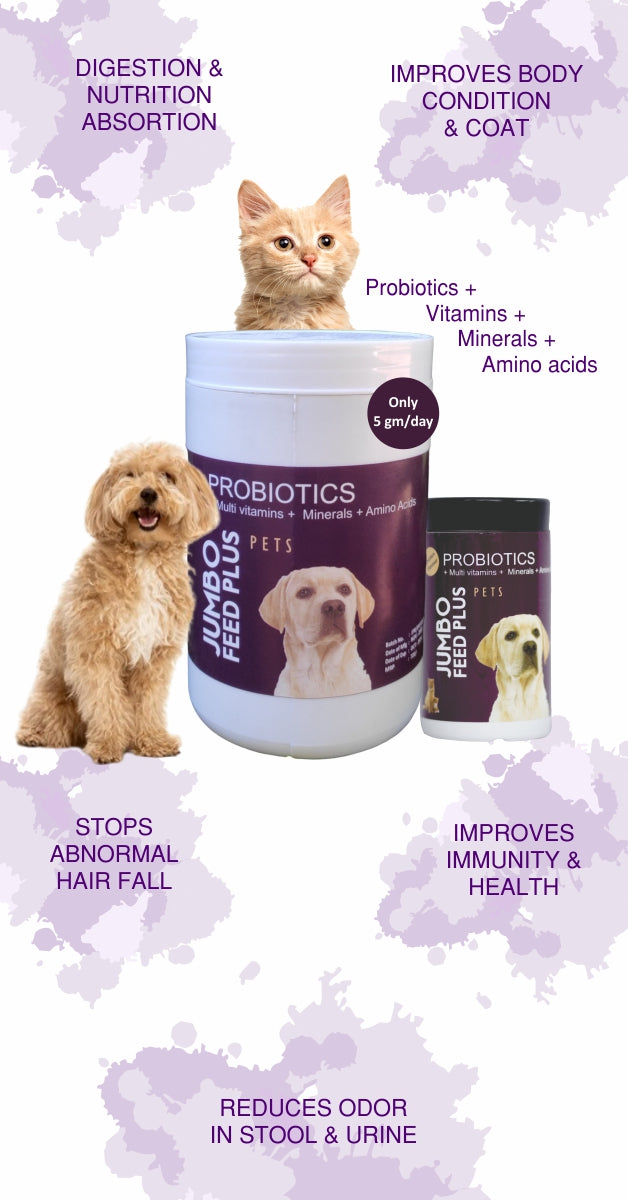 Buy Pets Probiotic Multivitamins Supplements Online Jumbogreen