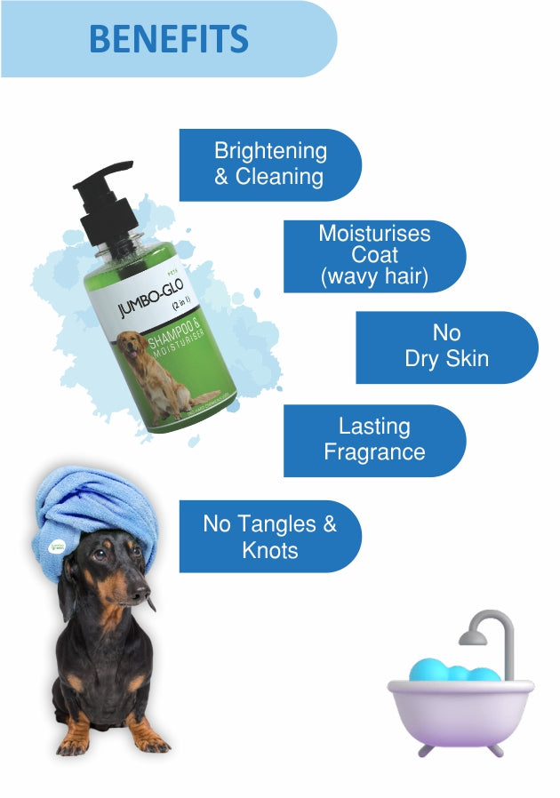 Jumbo Glo: Grooming & Conditioning Shampoo