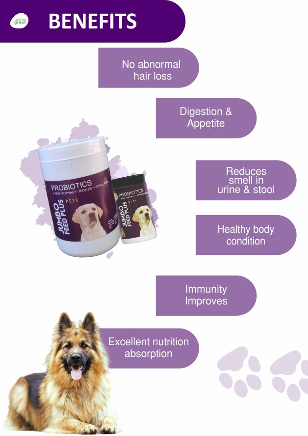 Buy Pets Probiotic Multivitamins Supplements Online Jumbogreen